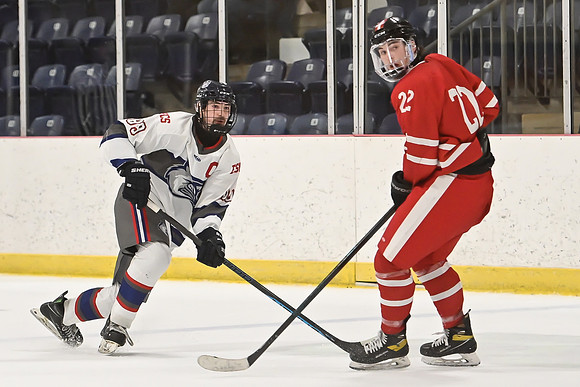 TIMBER CUP-41
