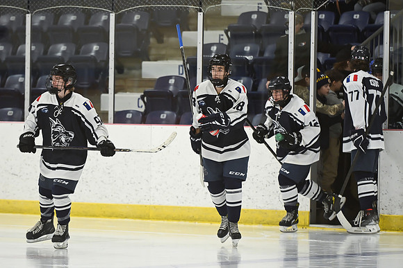 TIMBER CUP-1