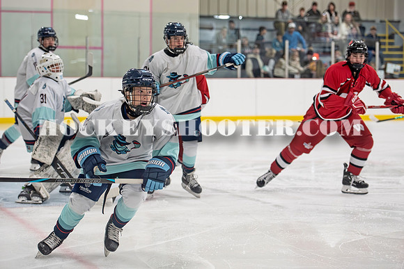 HURRICANES-29 copy