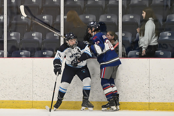 TIMBER CUP-31