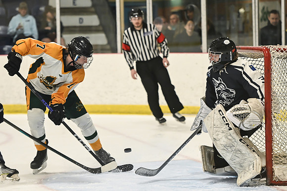 TIMBER CUP-33