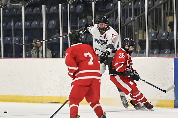 TIMBER CUP-49