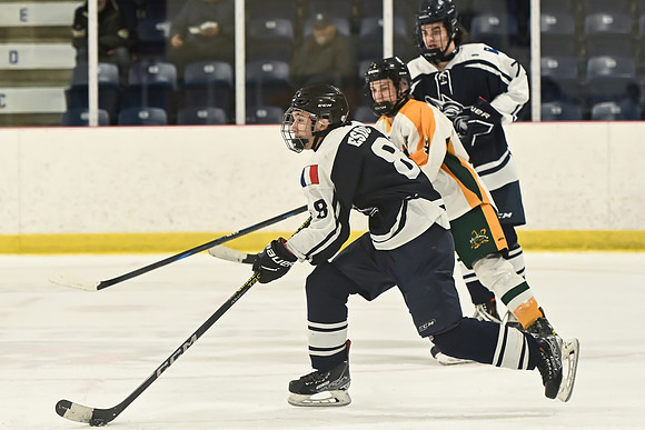 TIMBER CUP-37