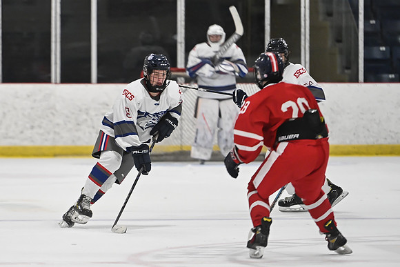 TIMBER CUP-82