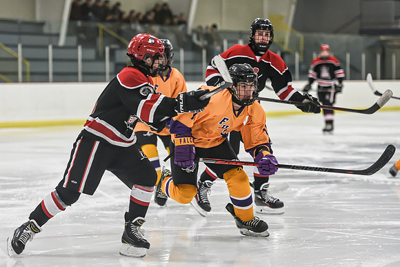 BARONS-4 copy