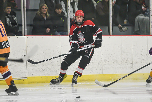 BARONS-16 copy
