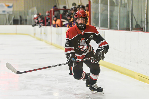 BARONS-33 copy