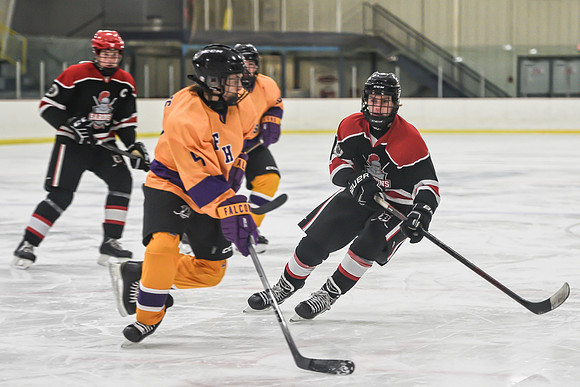 BARONS-36 copy