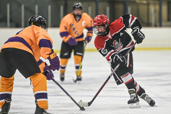 BARONS-41 copy
