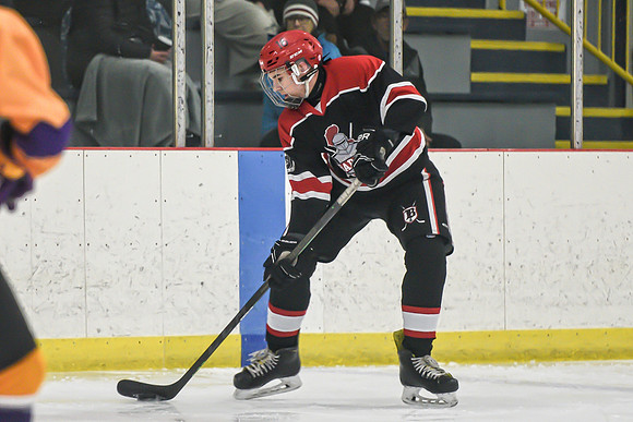 BARONS-43 copy