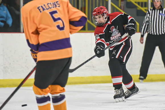 BARONS-44 copy