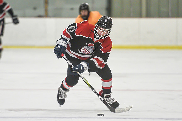 BARONS-73 copy