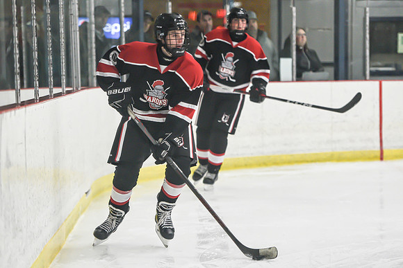 BARONS-141 copy