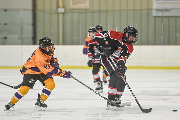 BARONS-146 copy