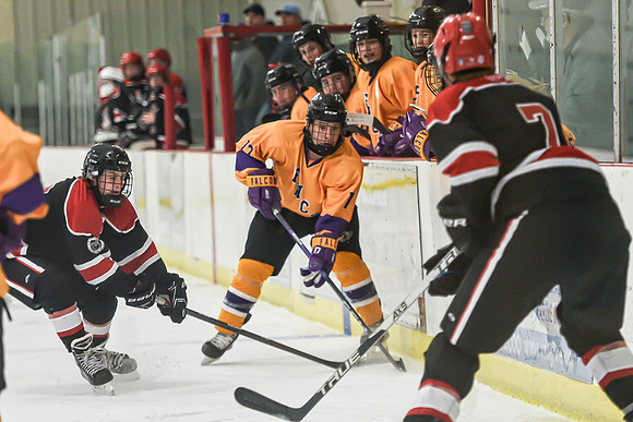 BARONS-147 copy