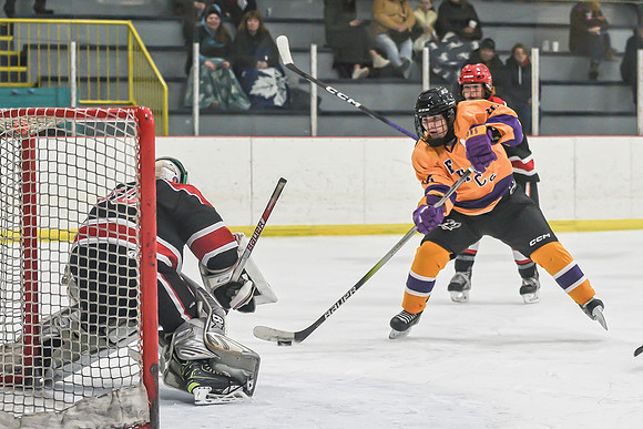 BARONS-156 copy