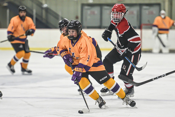 BARONS-169 copy
