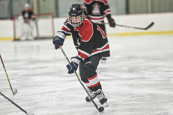 BARONS-201 copy