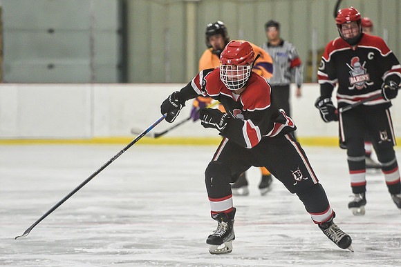 BARONS-209 copy