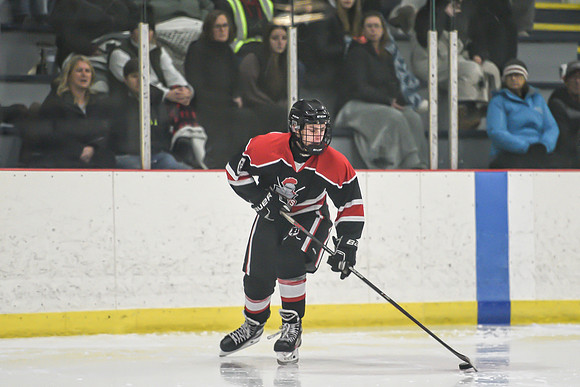 BARONS-208 copy