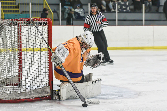 BARONS-212 copy