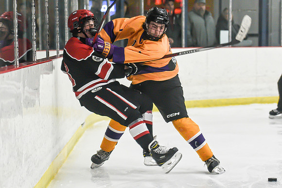 BARONS-213 copy