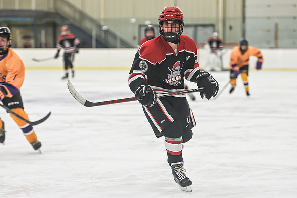BARONS-221 copy