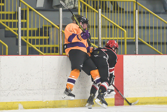 BARONS-222 copy