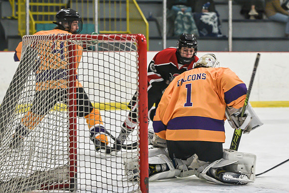 BARONS-224 copy