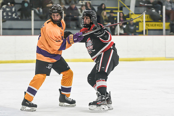 BARONS-226 copy