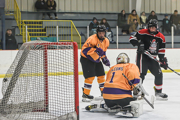 BARONS-242 copy