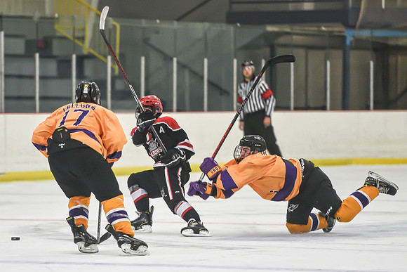 BARONS-251 copy