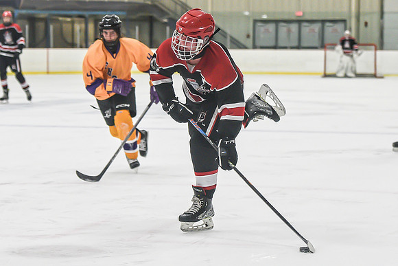 BARONS-256 copy