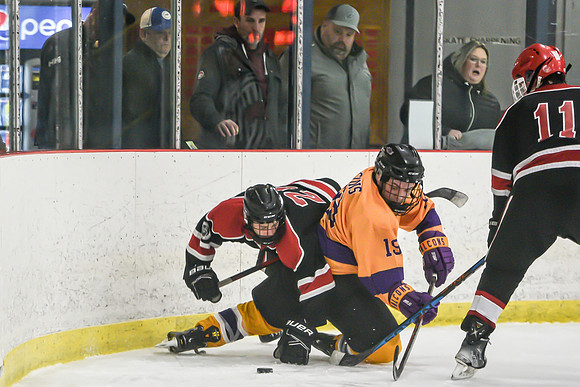 BARONS-263 copy