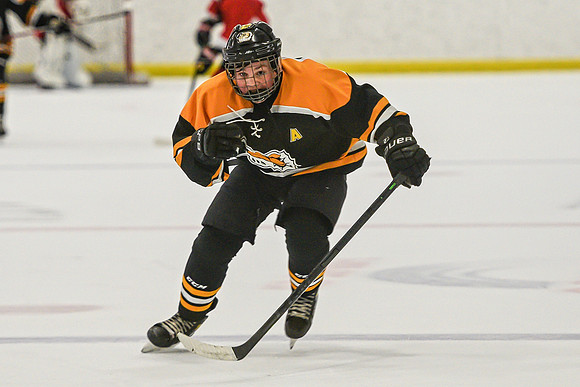 DSC_3124 copy