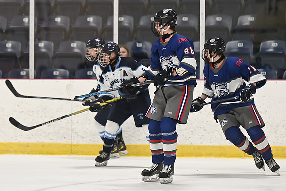 TIMBER CUP-3