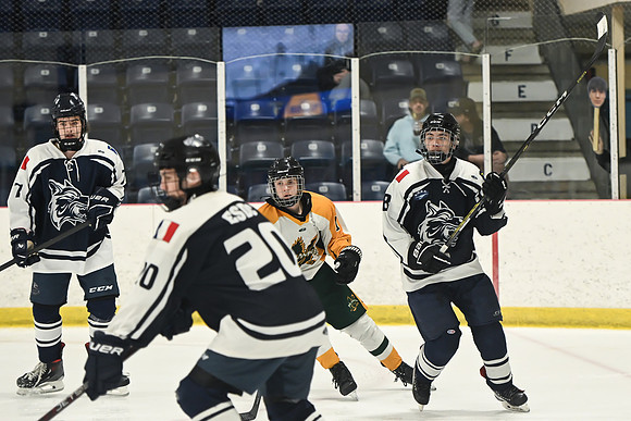 TIMBER CUP-20
