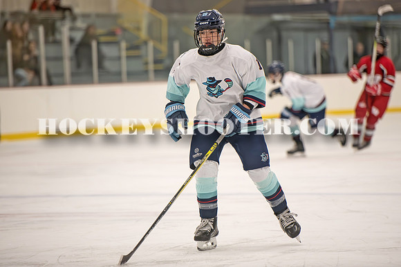 HURRICANES-95 copy