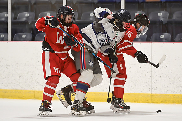 TIMBER CUP-17