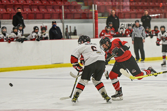 DSC_3506 copy