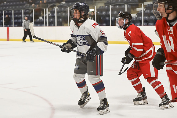 TIMBER CUP-43