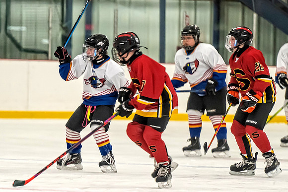 FLAMES VS CLARE-DIGBY-134 copy