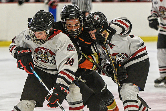 DSC_2030 copy