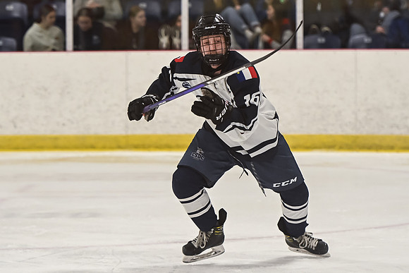 TIMBER CUP-263