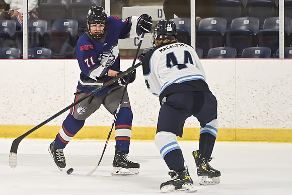 TIMBER CUP-132