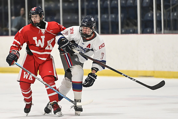 TIMBER CUP-14