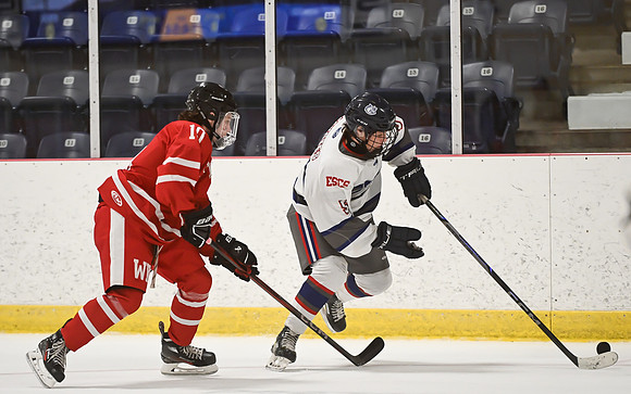 TIMBER CUP-2