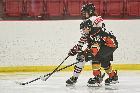 DSC_2663 copy