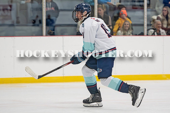 HURRICANES-85 copy