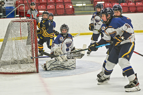 DSC_1182 copy